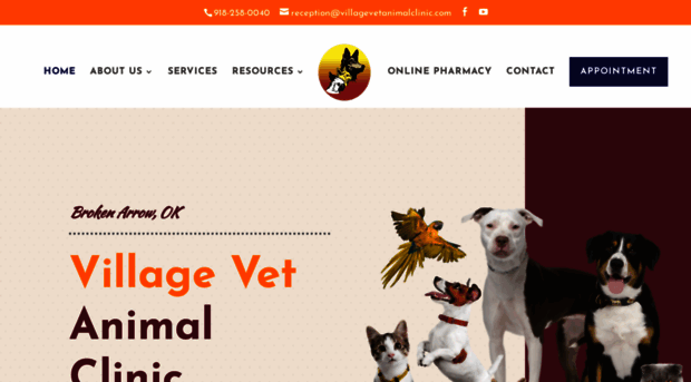 villagevetanimalclinic.com