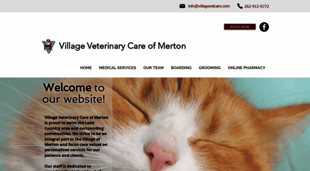 villagevetcare.com