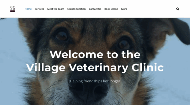 villageveterinary.ca