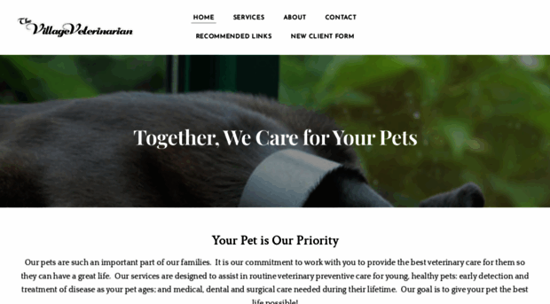 villagevetpa.net