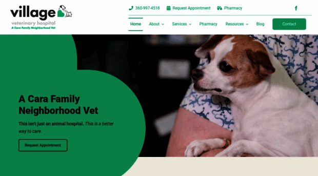 villagevets.com