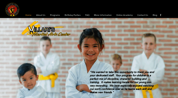 villarikarate.com