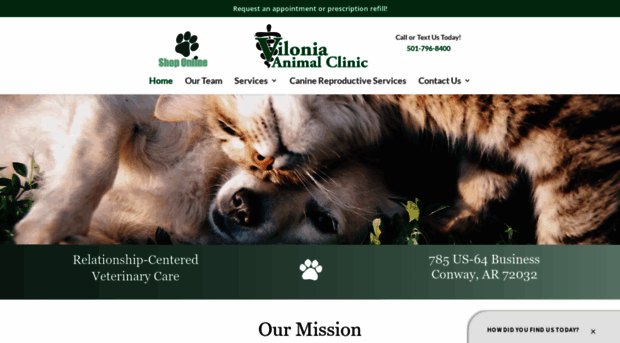 viloniaanimalclinic.com