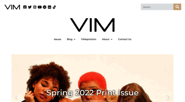 vimmagazinemsu.com