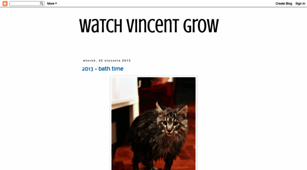 vincentcat.blogspot.com