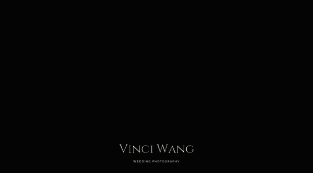 vinciwang.com