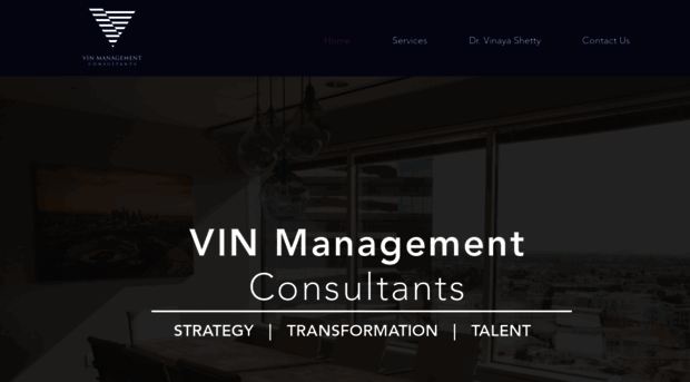 vinconsult.com