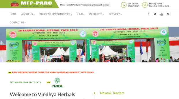 vindhyaherbals.com