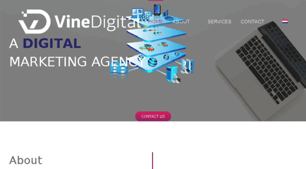 vinedigitalbv.com