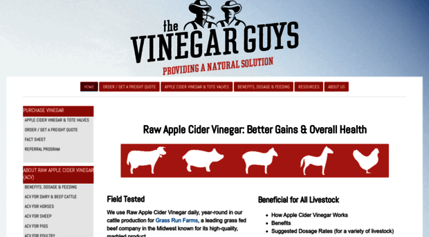 vinegarguys.com