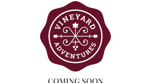 vineyardadventures.com