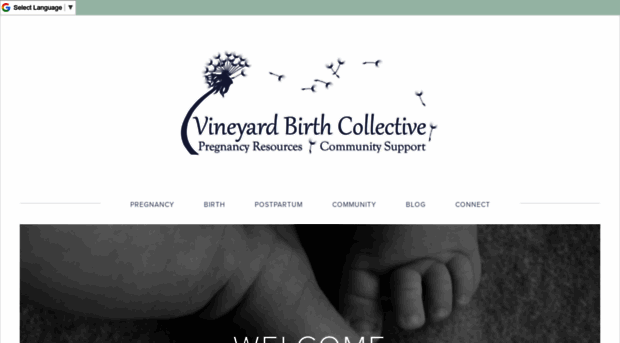 vineyardbirthcollective.org