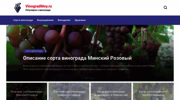 vinogradmoy.ru