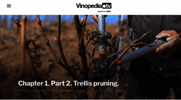 vinopedia.tv