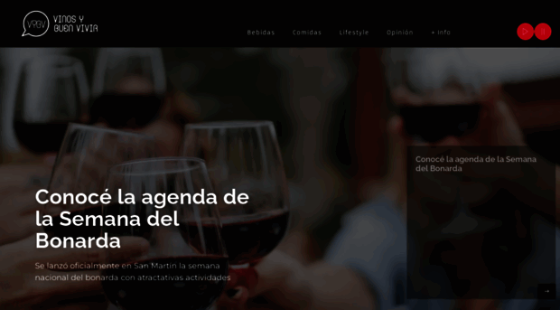 vinosybuenvivir.com.ar