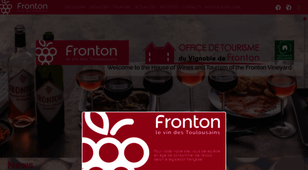 vins-de-fronton.com