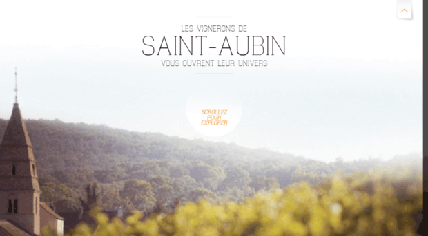vins-saint-aubin.com