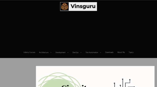 vinsguru.com