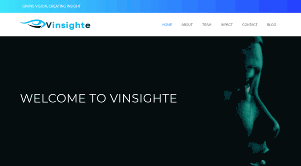 vinsighte.com.ng