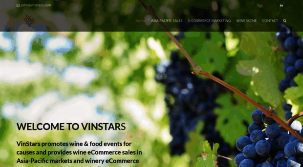 vinstars.com