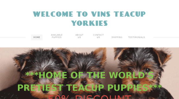 vinsteacupyorkiepuppies.us