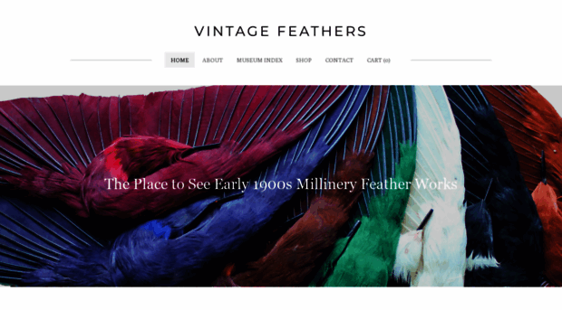 vintagefeathers.com