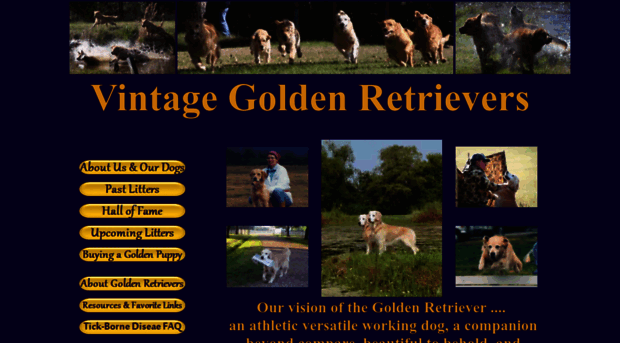 vintagegoldens.com