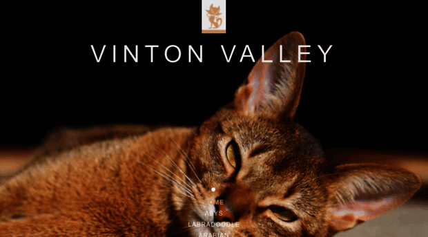 vintonvalley.com