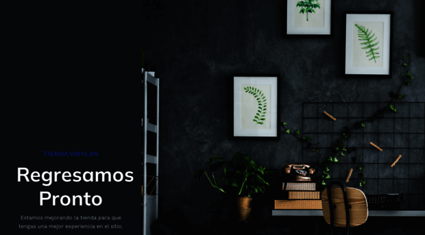 vinylan.mx