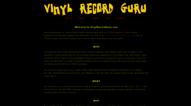 vinylrecordguru.com