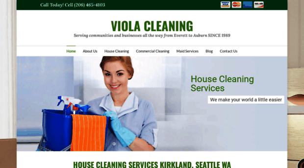 viola-cleaning.com