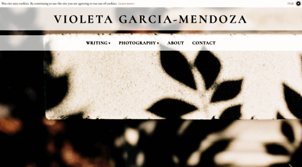 violetagarciamendoza.com