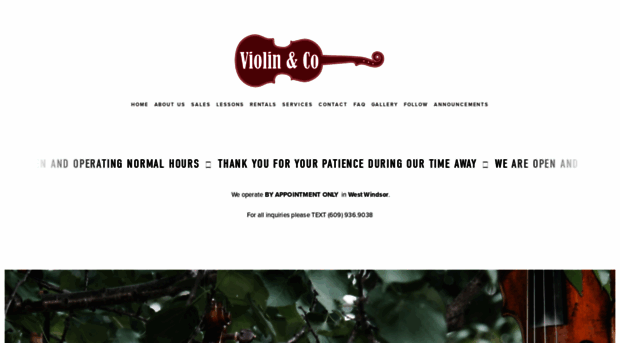 violinandco.com