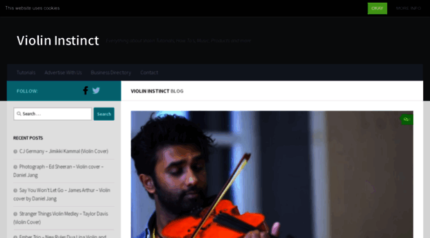 violininstinct.com