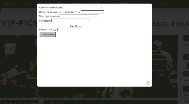 vip-picnik.ru