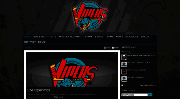 vipersicehockey.com