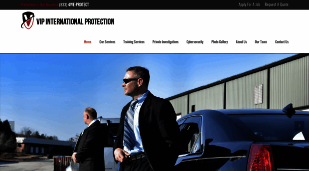 vipintlprotection.com