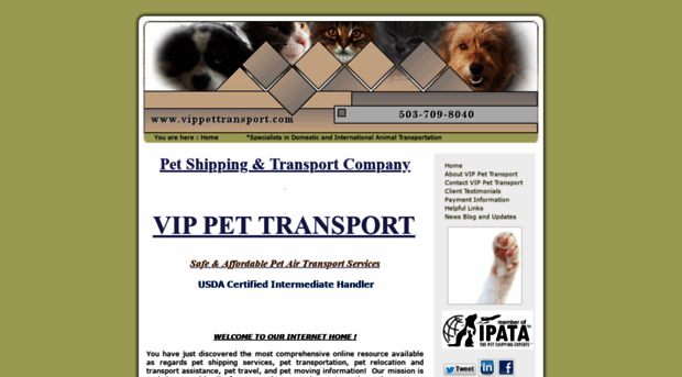 vippettransport.com