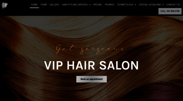 vipsalon.net