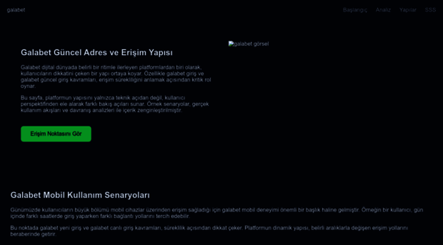 vipslt.online