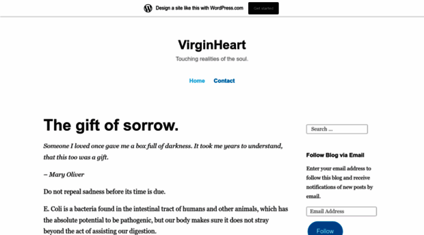 virginheartblog.wordpress.com