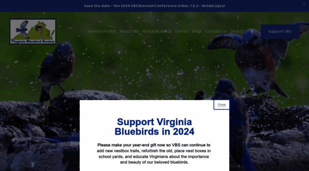 virginiabluebirds.org