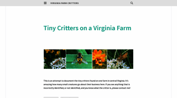 virginiafarmcritters.wordpress.com