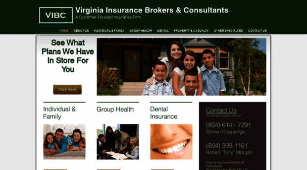 virginiainsurancebrokers.com