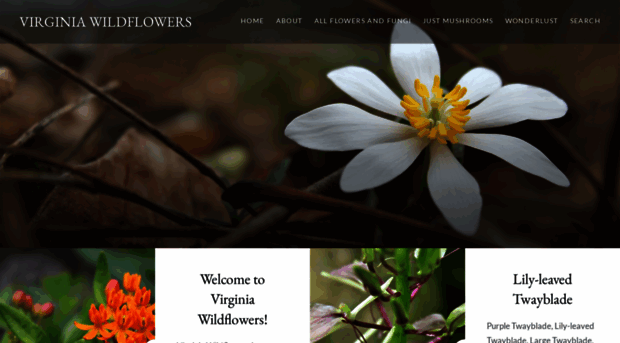 virginiawildflowers.org