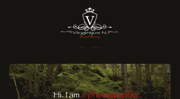 virgisphoto.com
