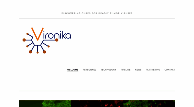 vironika.com