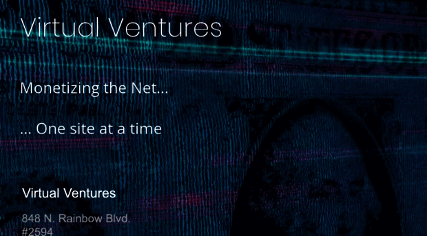 virtual-ventures.net