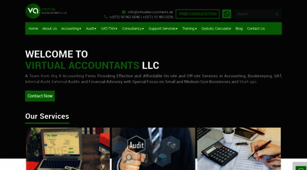 virtualaccountants.ae