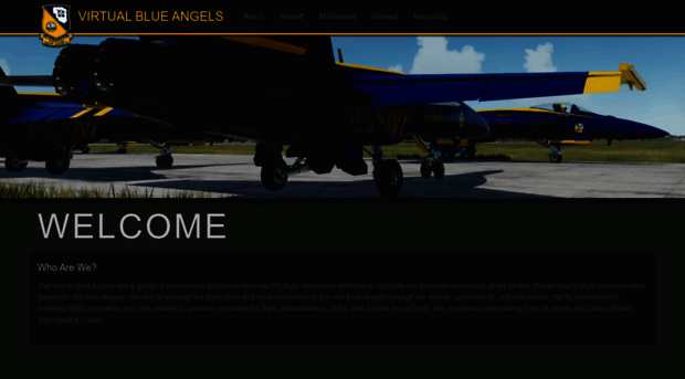 virtualblueangels.com